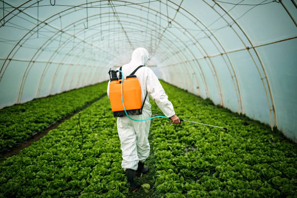 Best Pest Removal Services  in Hamilton, TX