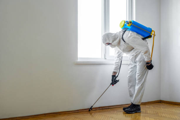Best Residential Pest Control  in Hamilton, TX