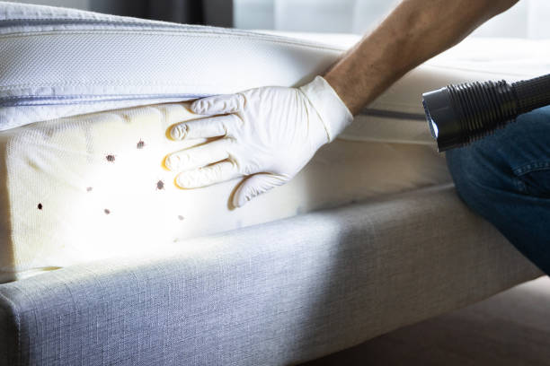 Best Best Pest Control Near Me  in Hamilton, TX