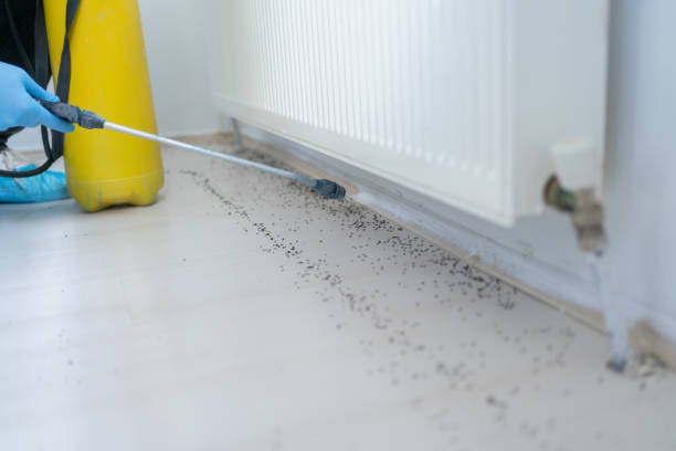 Pest Control for Restaurants in Hamilton, TX