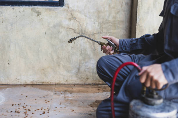 Reliable Hamilton, TX Pest Control Solutions